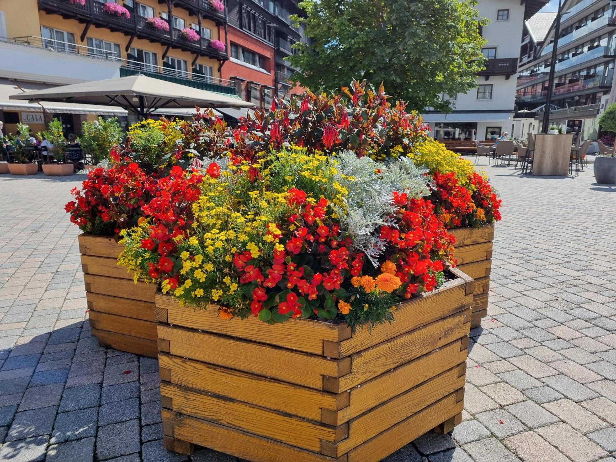 Appartement Bergsee Sun - Am Wildsee - Atemberaubende Aussicht Зеефелд в Тирол Екстериор снимка