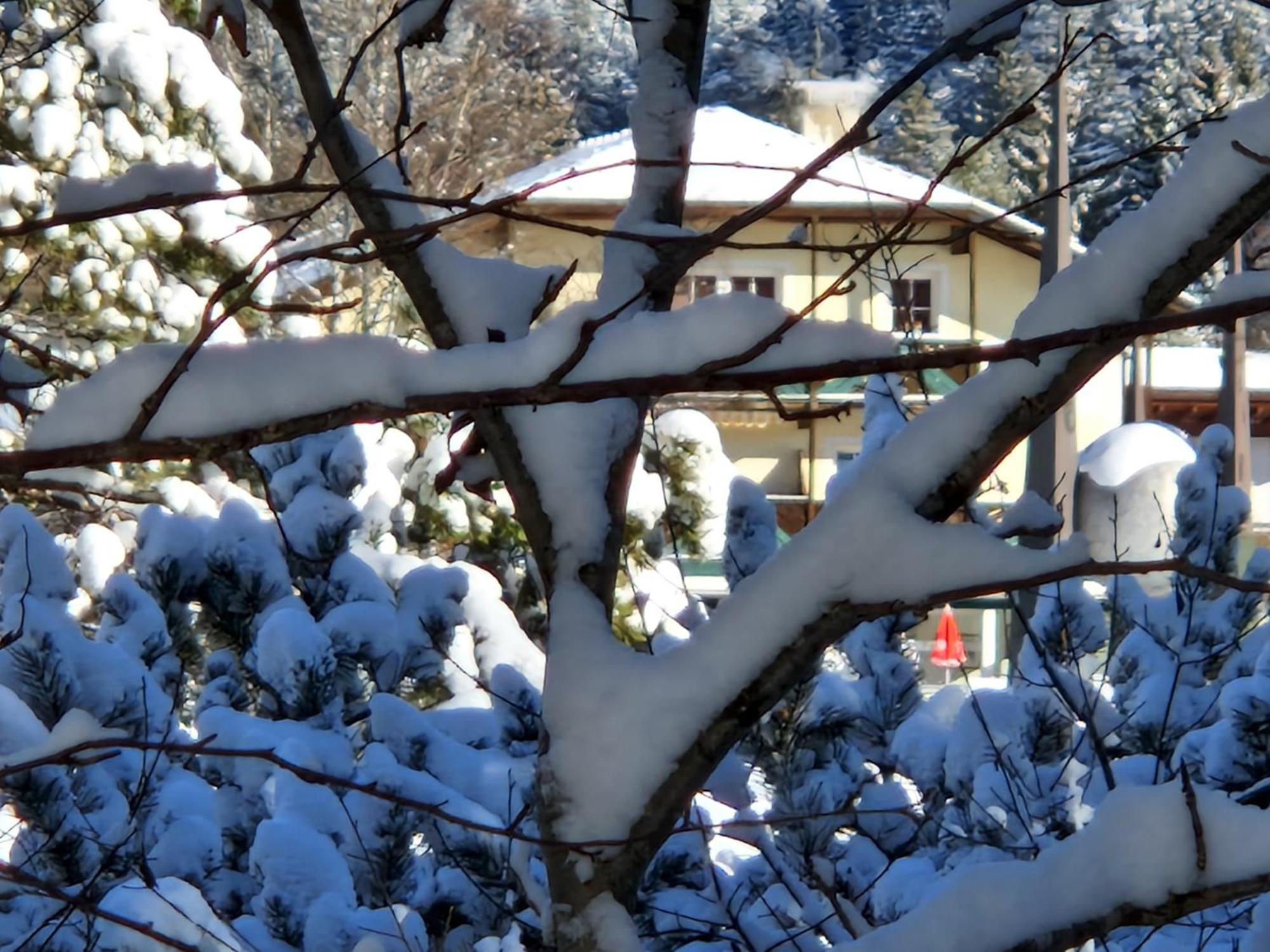 Appartement Bergsee Sun - Am Wildsee - Atemberaubende Aussicht Зеефелд в Тирол Екстериор снимка